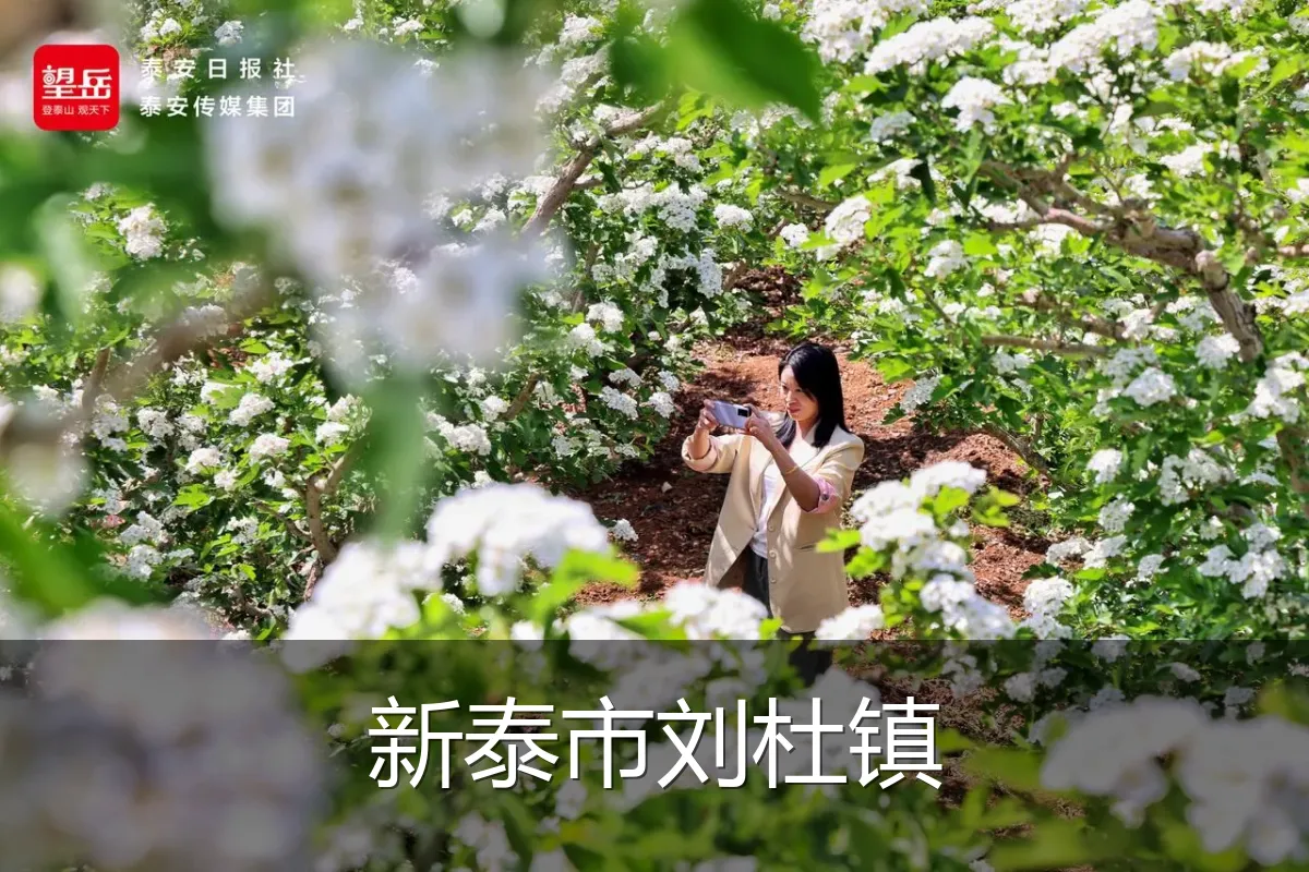 新泰市刘杜镇