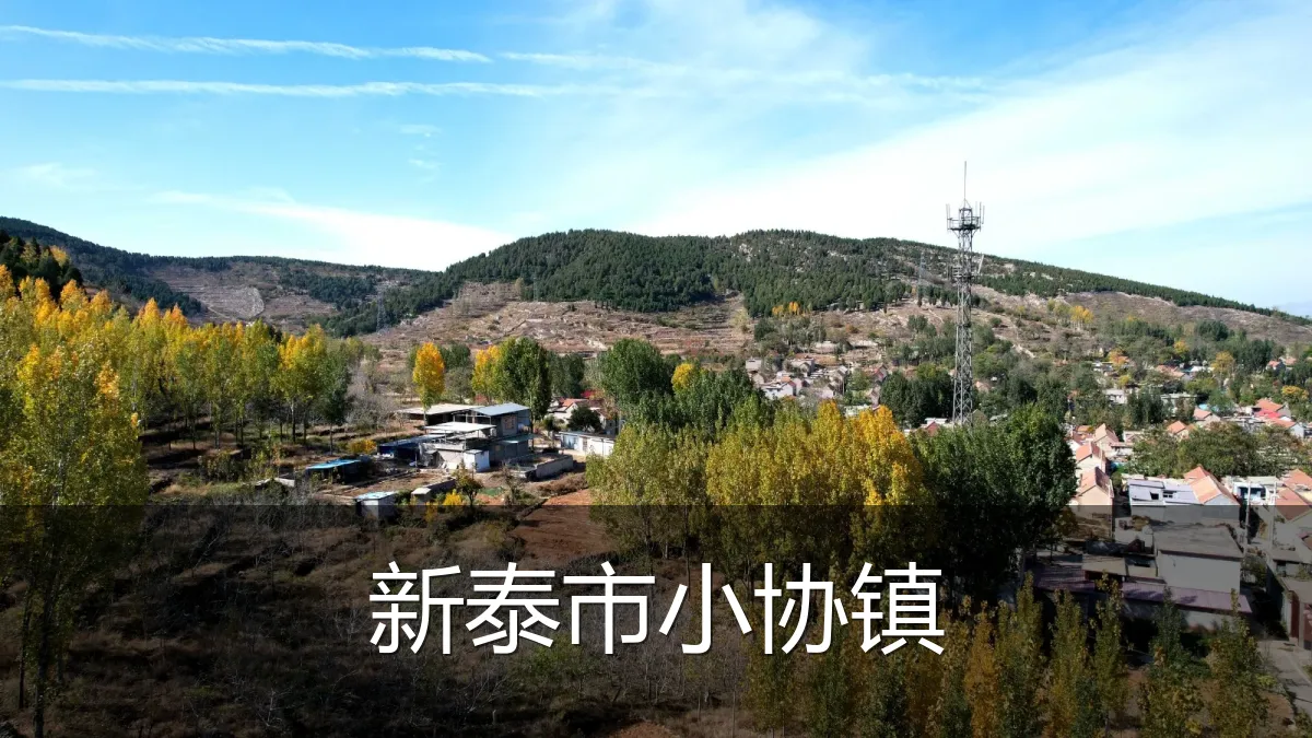 新泰市小协镇