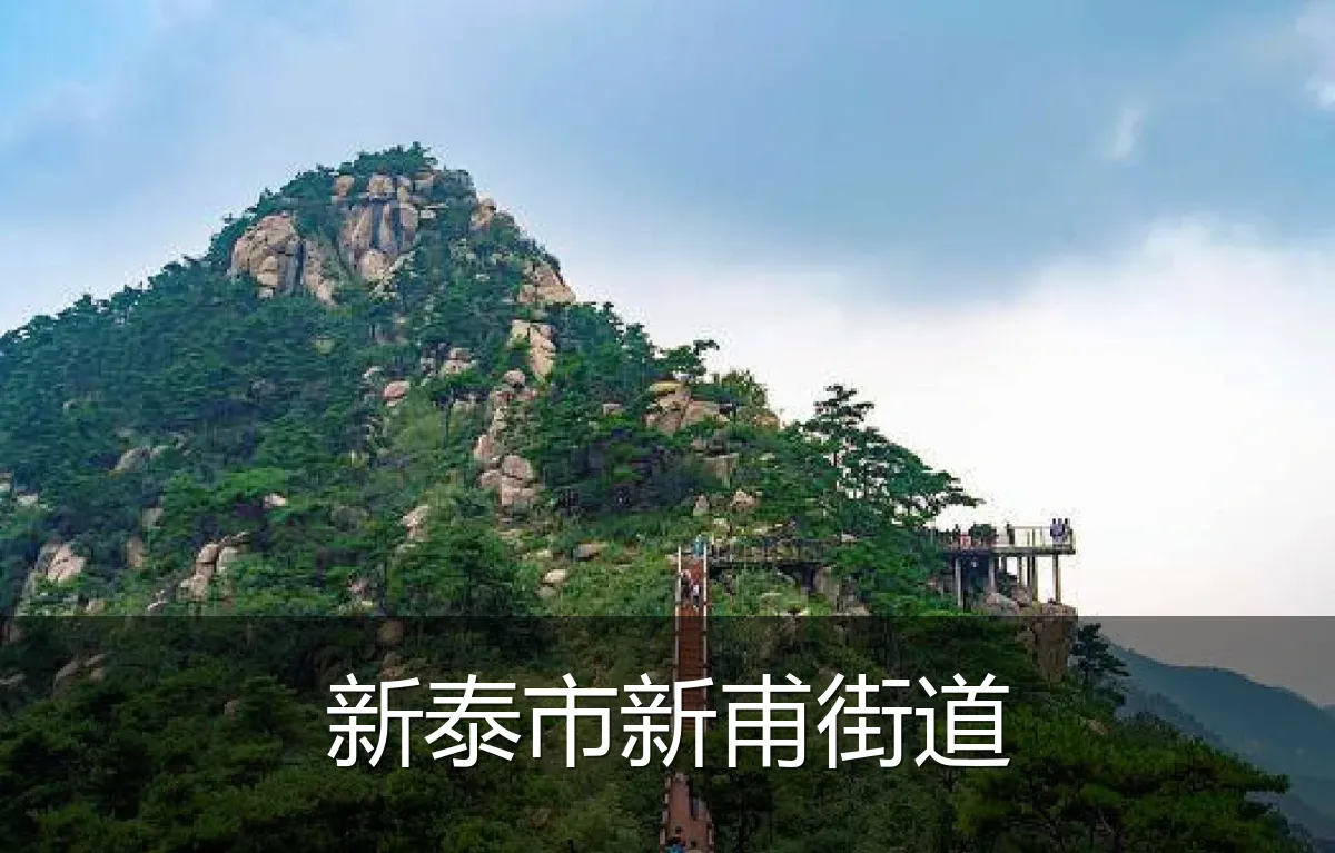 新泰市新甫街道