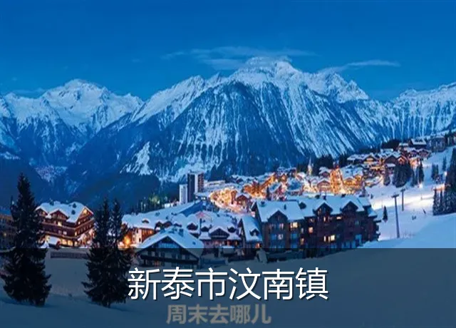 新泰市汶南镇
