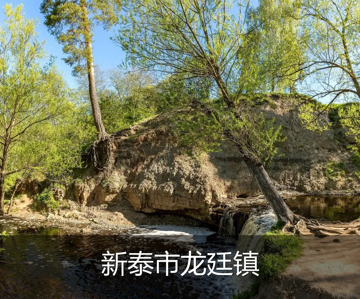 新泰市龙廷镇